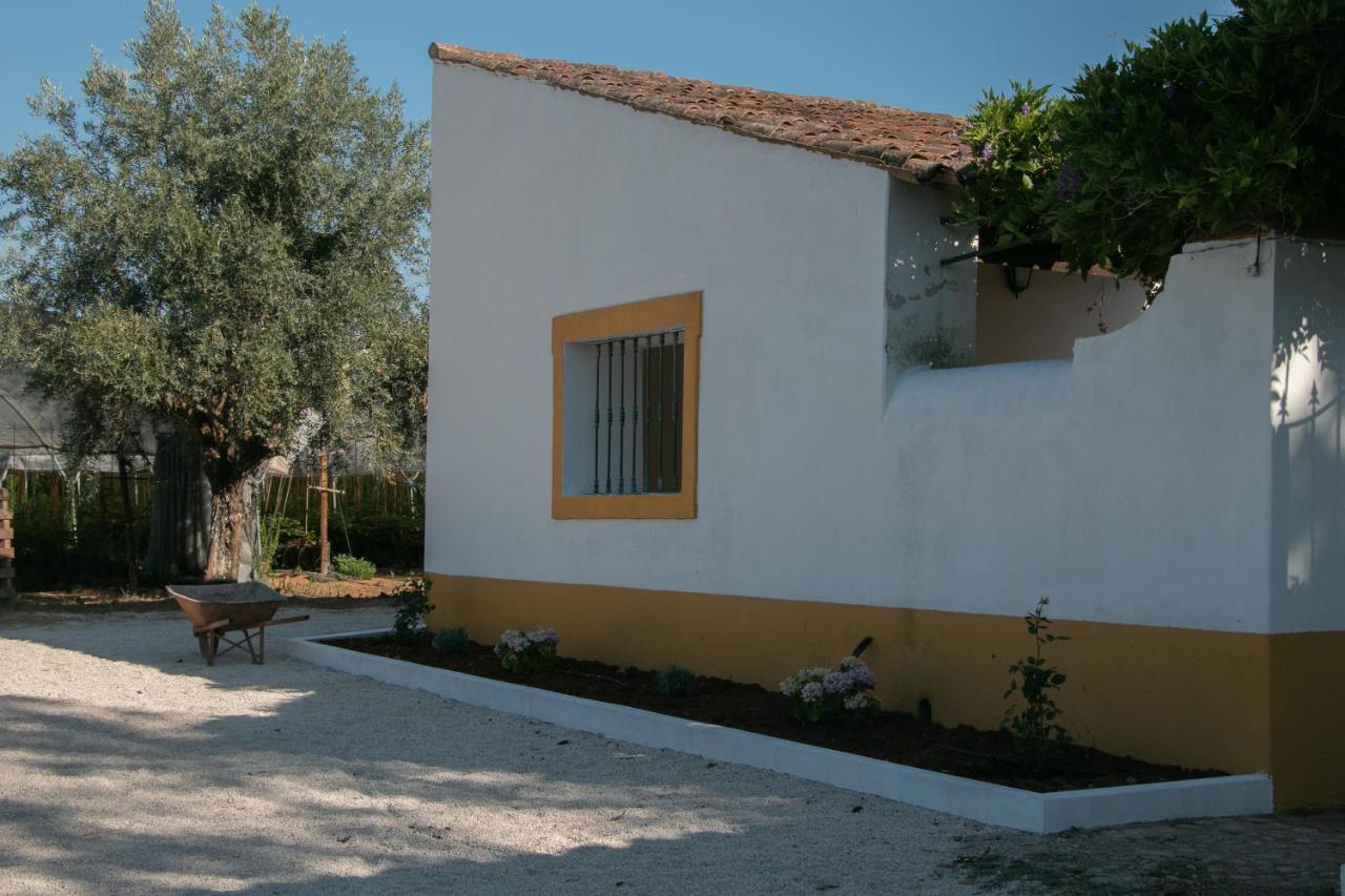 Quinta De Santana Da Varzea Abrantes Exterior foto